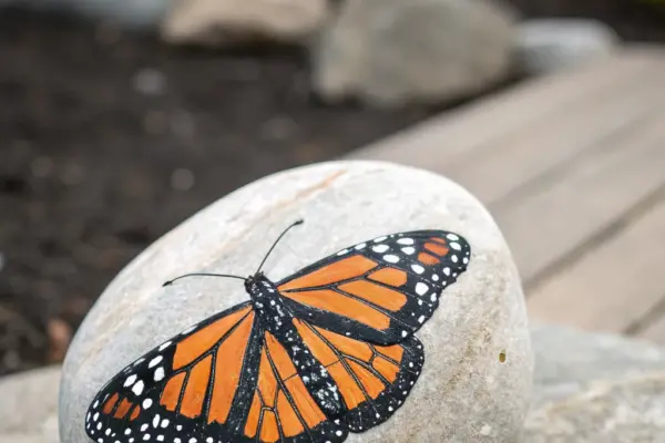 Monarch Butterfly Art Project Ideas