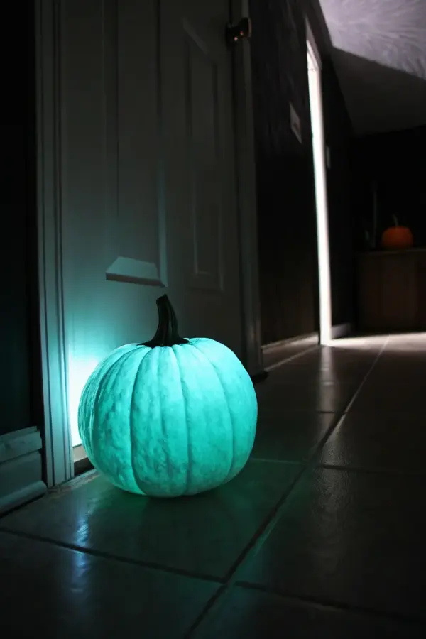 Creative Pumpkin Carving Ideas for Spooky Fun
